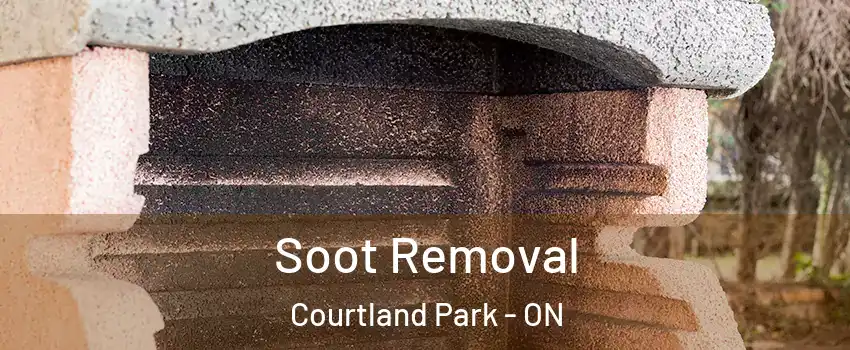  Soot Removal Courtland Park - ON