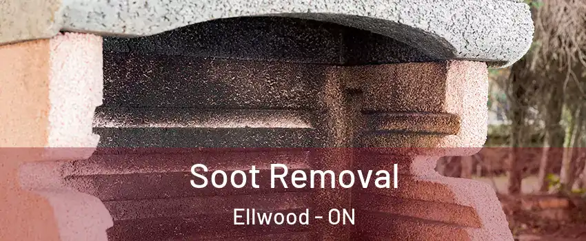  Soot Removal Ellwood - ON