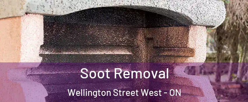  Soot Removal Wellington Street West - ON