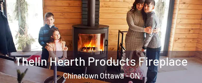  Thelin Hearth Products Fireplace Chinatown Ottawa - ON