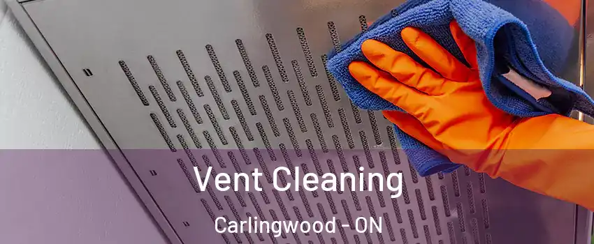  Vent Cleaning Carlingwood - ON