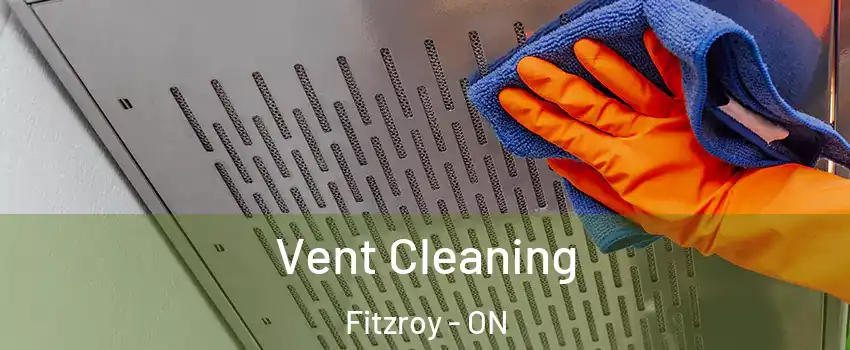  Vent Cleaning Fitzroy - ON