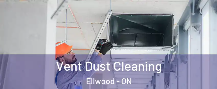  Vent Dust Cleaning Ellwood - ON