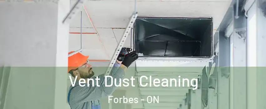  Vent Dust Cleaning Forbes - ON