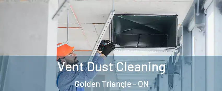  Vent Dust Cleaning Golden Triangle - ON