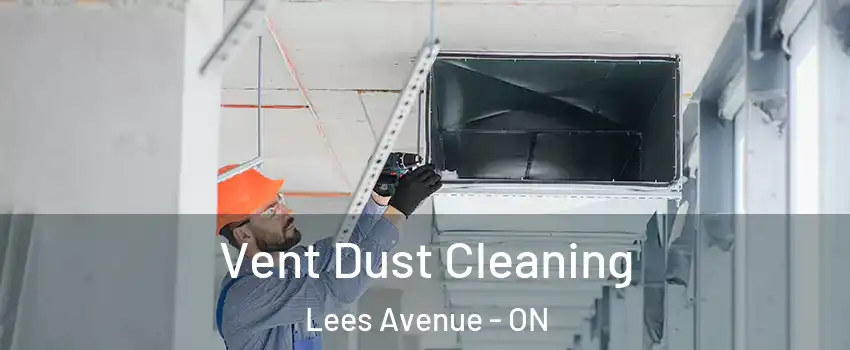  Vent Dust Cleaning Lees Avenue - ON