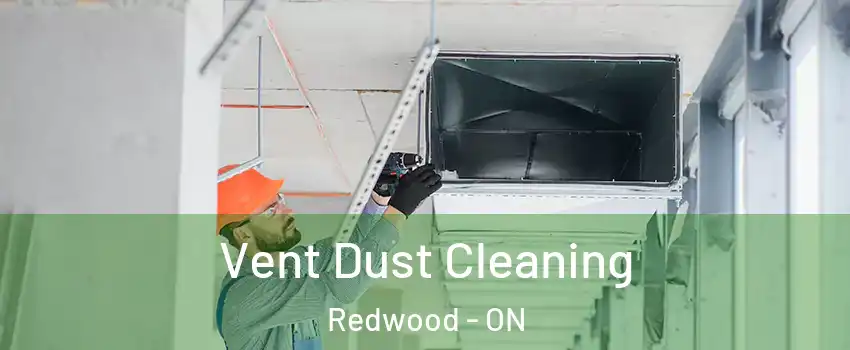  Vent Dust Cleaning Redwood - ON