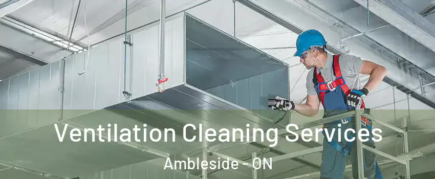  Ventilation Cleaning Services Ambleside - ON