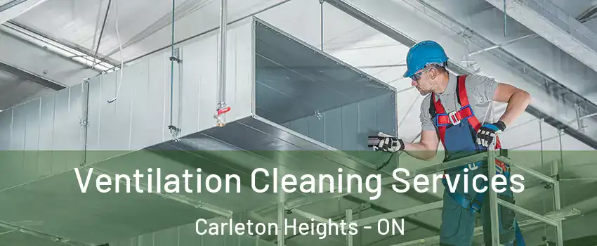  Ventilation Cleaning Services Carleton Heights - ON