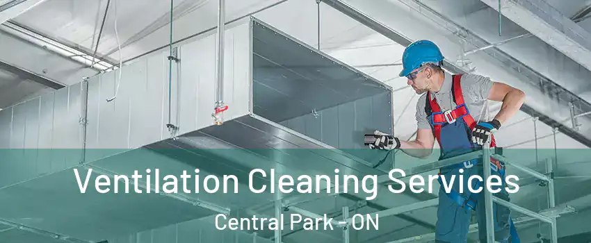  Ventilation Cleaning Services Central Park - ON