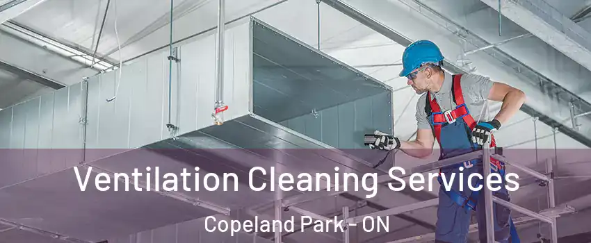  Ventilation Cleaning Services Copeland Park - ON