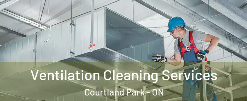  Ventilation Cleaning Services Courtland Park - ON