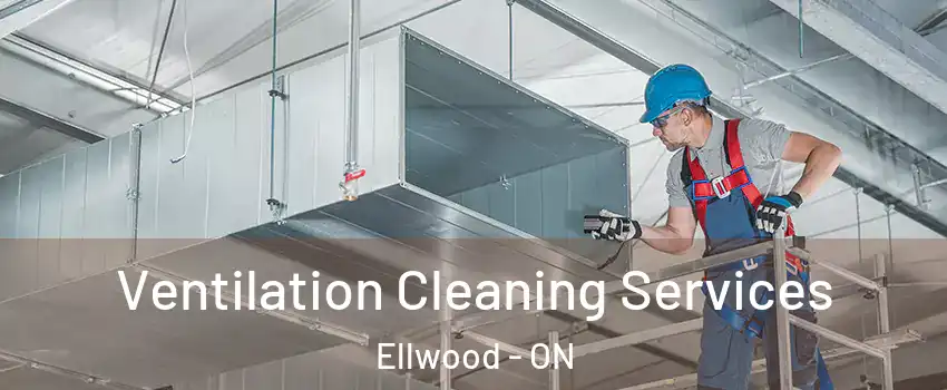  Ventilation Cleaning Services Ellwood - ON