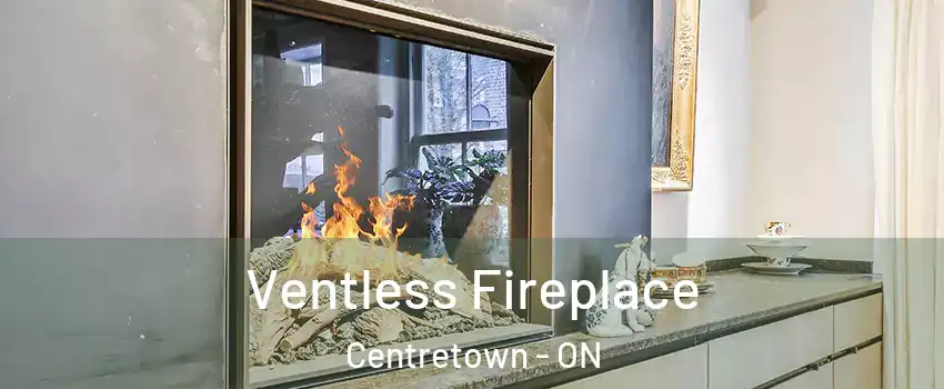  Ventless Fireplace Centretown - ON