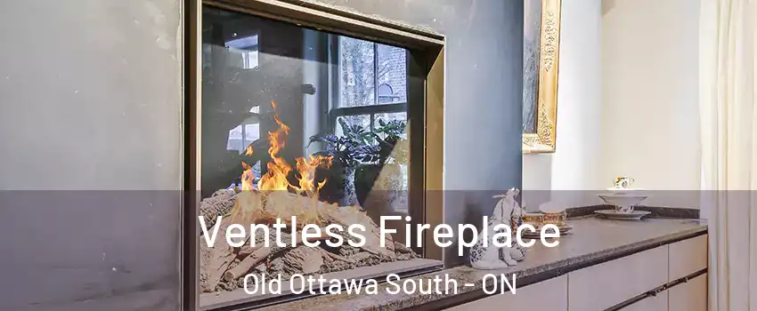  Ventless Fireplace Old Ottawa South - ON