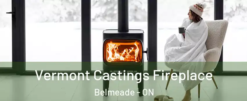  Vermont Castings Fireplace Belmeade - ON