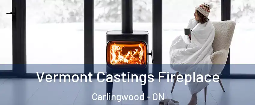  Vermont Castings Fireplace Carlingwood - ON