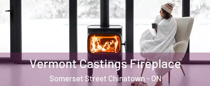  Vermont Castings Fireplace Somerset Street Chinatown - ON