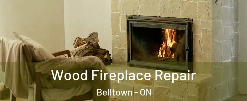  Wood Fireplace Repair Belltown - ON