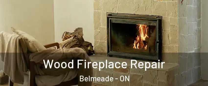  Wood Fireplace Repair Belmeade - ON