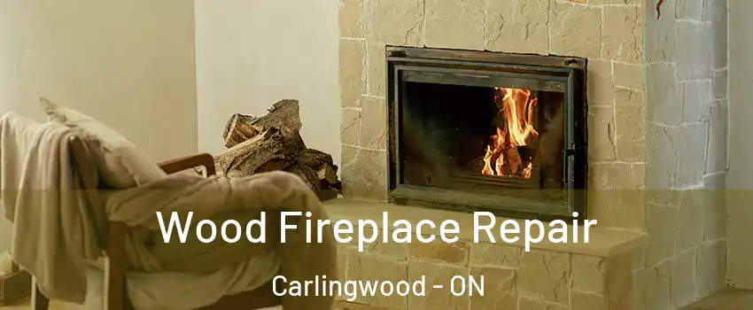  Wood Fireplace Repair Carlingwood - ON