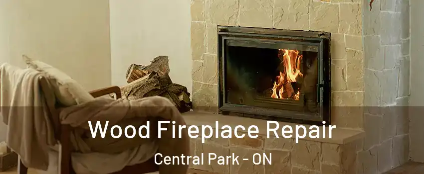  Wood Fireplace Repair Central Park - ON