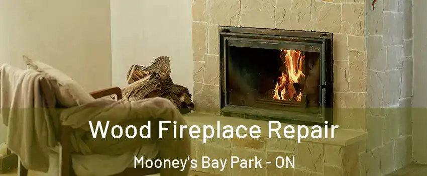  Wood Fireplace Repair Mooney's Bay Park - ON