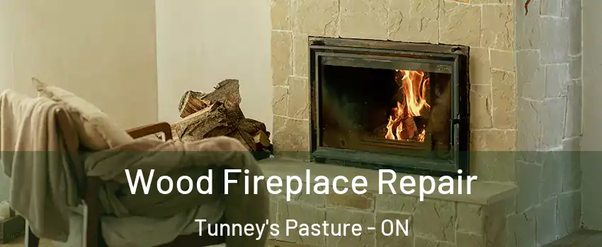  Wood Fireplace Repair Tunney's Pasture - ON