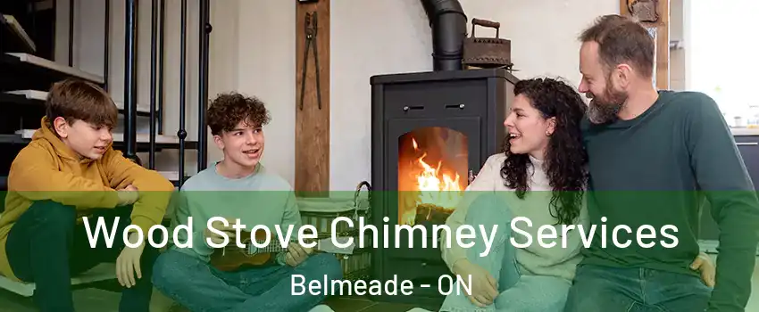  Wood Stove Chimney Services Belmeade - ON