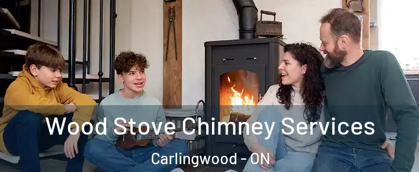  Wood Stove Chimney Services Carlingwood - ON