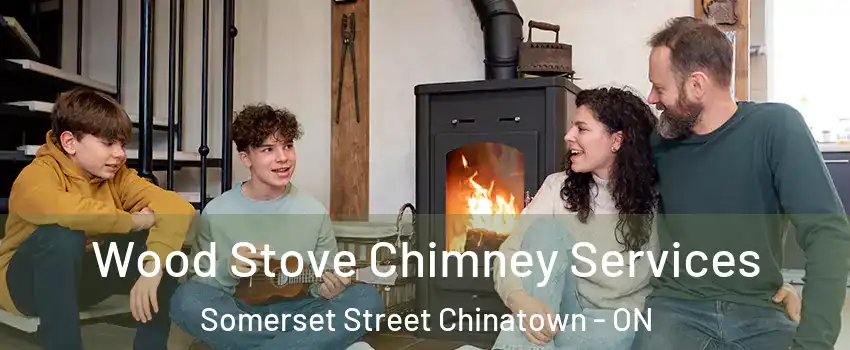  Wood Stove Chimney Services Somerset Street Chinatown - ON