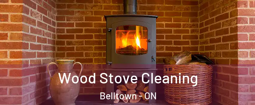  Wood Stove Cleaning Belltown - ON