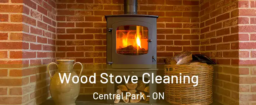  Wood Stove Cleaning Central Park - ON