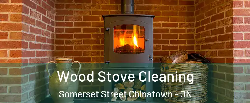  Wood Stove Cleaning Somerset Street Chinatown - ON