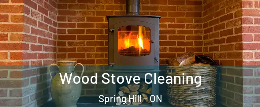  Wood Stove Cleaning Spring Hill - ON