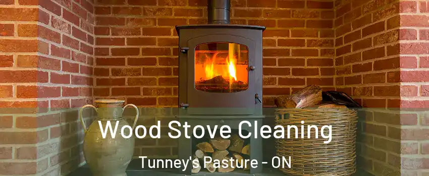  Wood Stove Cleaning Tunney's Pasture - ON