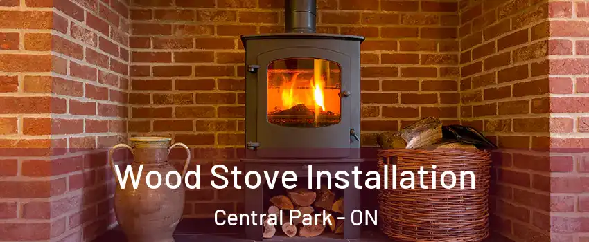  Wood Stove Installation Central Park - ON