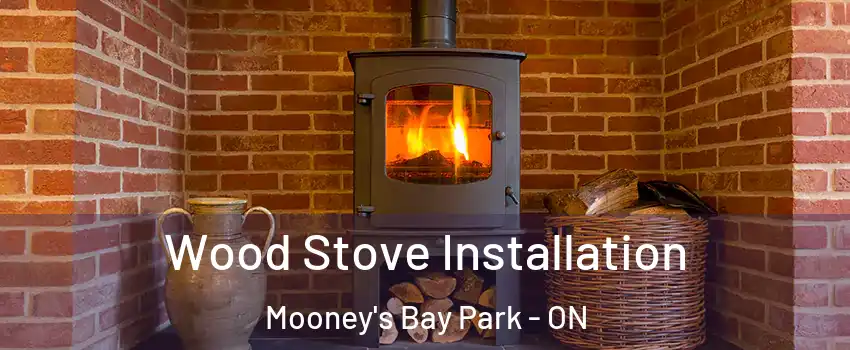  Wood Stove Installation Mooney's Bay Park - ON