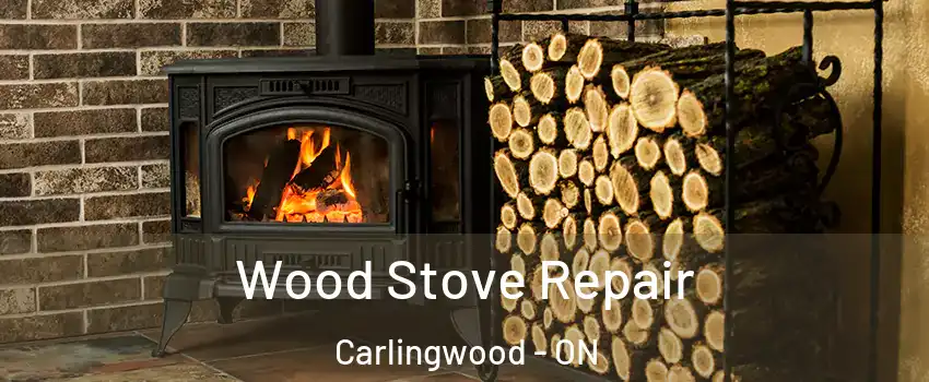 Wood Stove Repair Carlingwood - ON